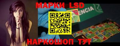 гидропоника Можга