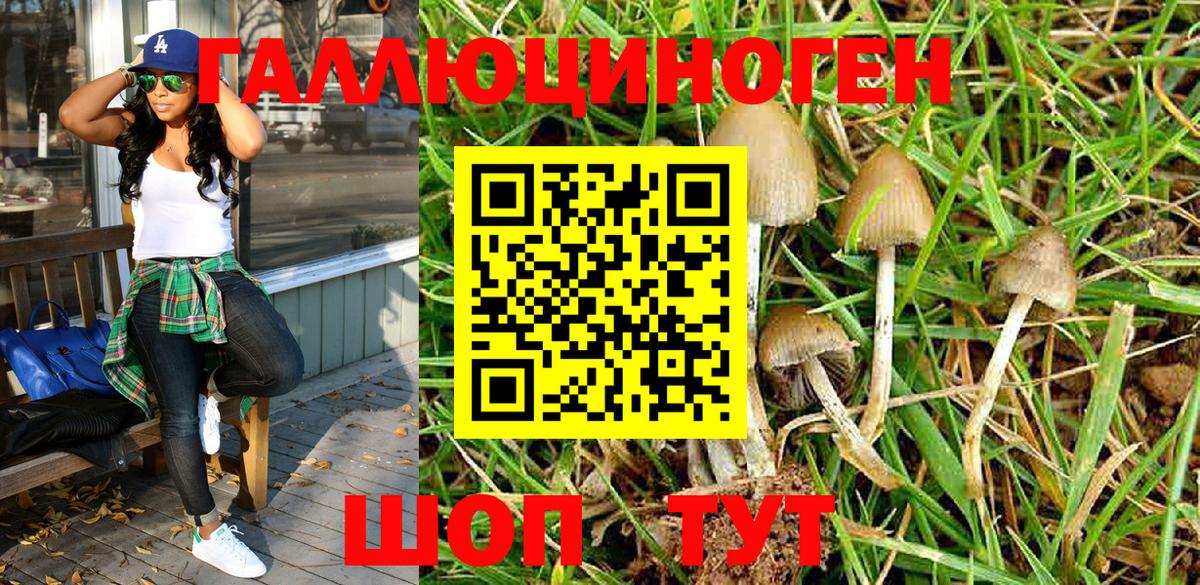 Галлюциногенные грибы Magic Shrooms Черногорск